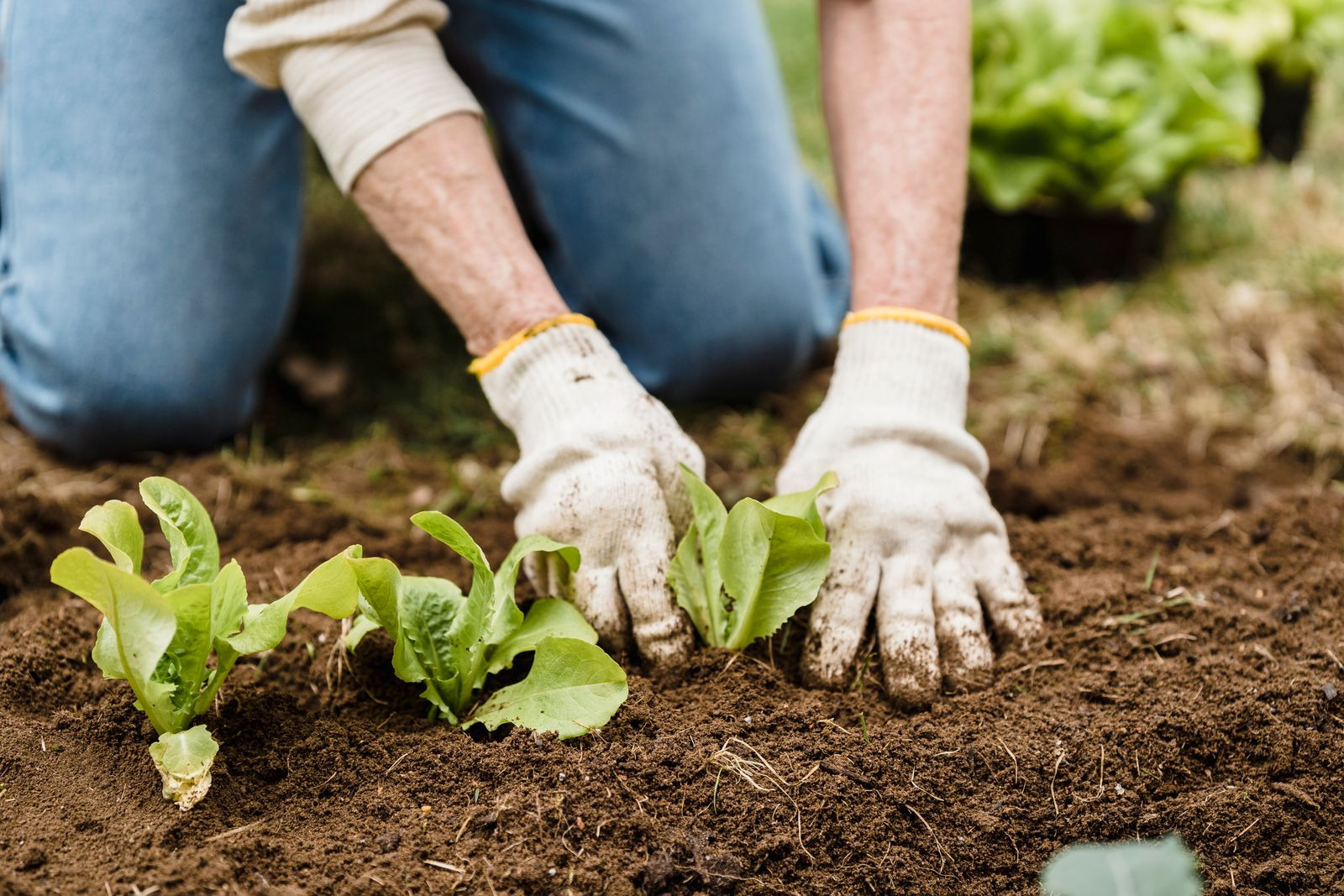 Farm Worker Jobs in Canada with Visa Sponsorship